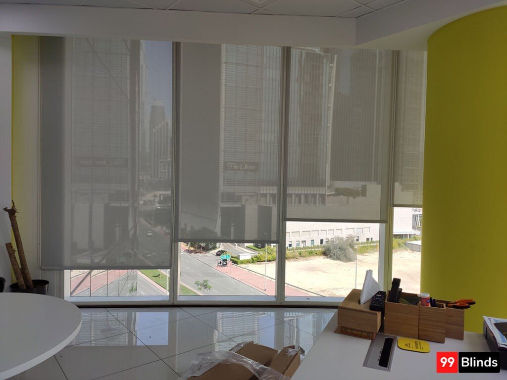 Sunscreen Roller blinds